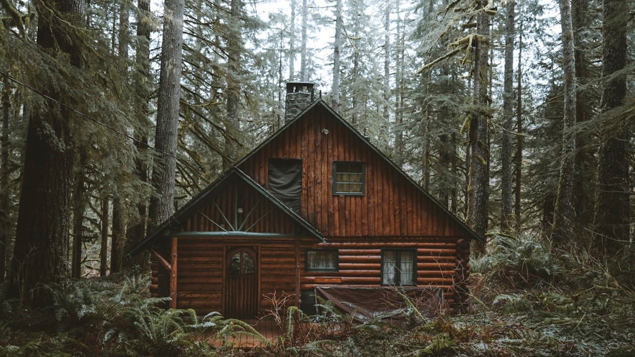 Sapanca ve Antalya'daki 'Orman İçinde Bungalov' Yalanı (Villa Kiralama Tuzakları)