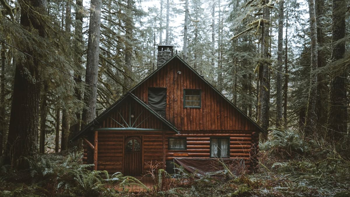 Sapanca ve Antalya'daki 'Orman İçinde Bungalov' Yalanı (Villa Kiralama Tuzakları)
